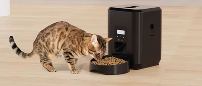 Distributeur Connecté – Mangeoire Intelligente pour votre  Félin Le Comptoir du Félin