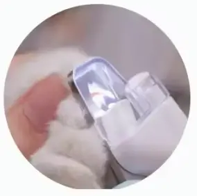 Lumi'Griffe – Coupe-ongle pour chat Le Comptoir du Félin