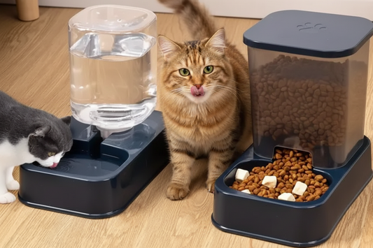 Multi Féline - Distributeur croquette et fontaine à eau Le Comptoir du Félin