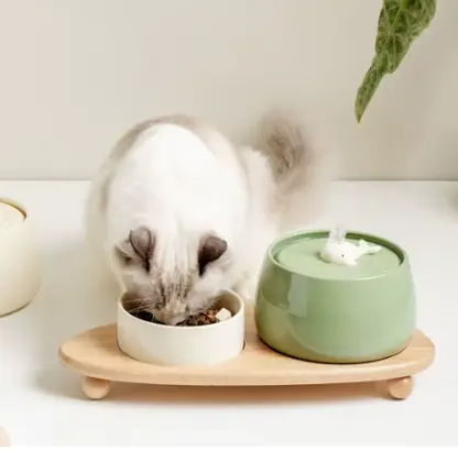 Fontaine à eau AquaZen Le Comptoir du Félin