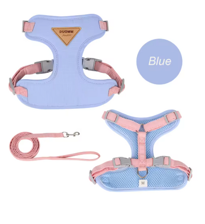 Vélvéa – Ensemble harnais et laisse pour chat Le Comptoir du Félin